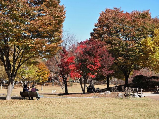 �g�t�������ړI�L��_�M�B��ō��� ��Ō���