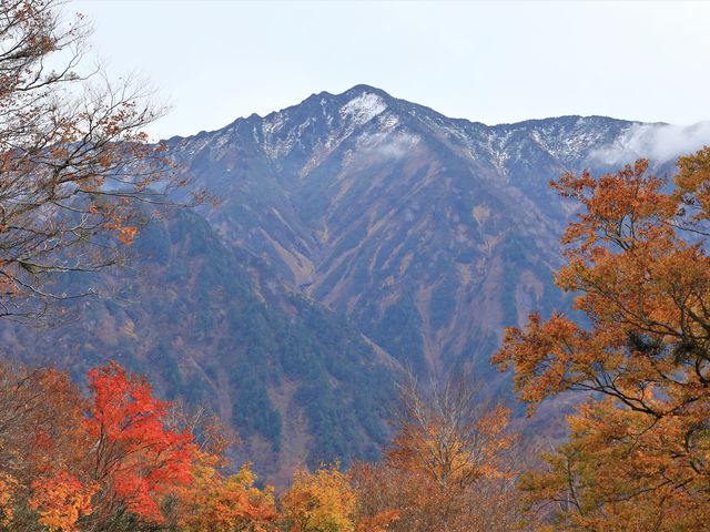 Ƃ񂳂̍rxERoR̓eʐ^1