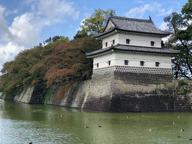 Vc\E̊ۋEiE̊Oρj_Vc\E̊ۋE