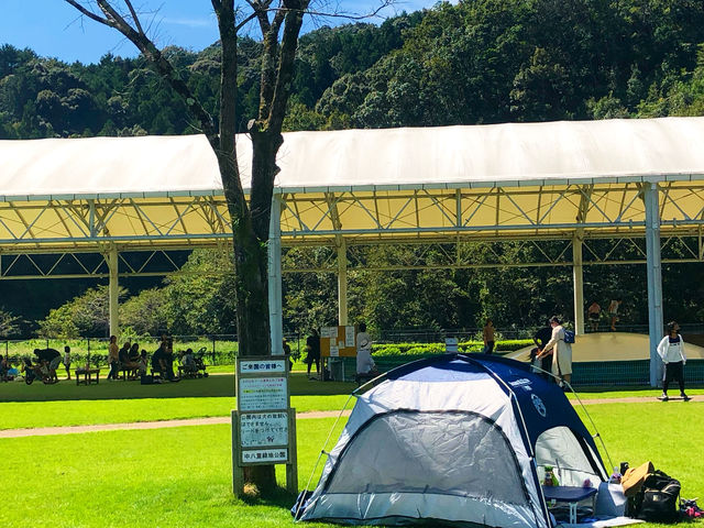 MhD[̃smbQp[N̓eʐ^3