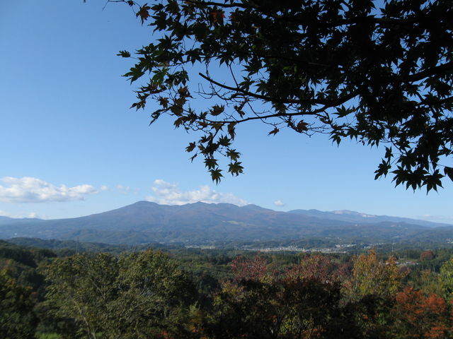 W]X|bgɌ͈ē܂菑ĂȂĕɂ_pR