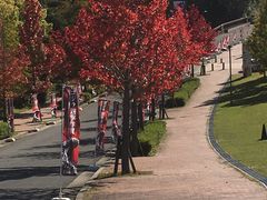 ܂邳̃jWQmւ̓eʐ^1