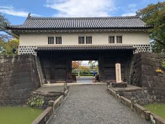 `pX̐Vc\E̊ۋEւ̓eʐ^1