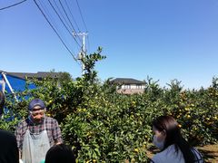 ȂȂFRUIT PARK YOKOHAMA@Ōʎւ̓eʐ^1