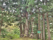 sklfh̊pԂ̃lW̓eʐ^1