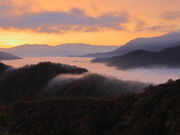 Ƃ񂳂̎}ܓ@_C_̓eʐ^1