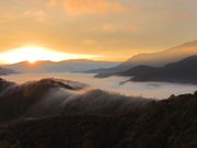 Ƃ񂳂̎}ܓ@_C_̓eʐ^2