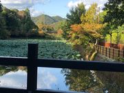 hotarǔ䔯_Ђ̓eʐ^1