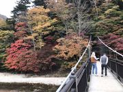 䂤񂳂݂̓C̐V΂ƍgt̓eʐ^2