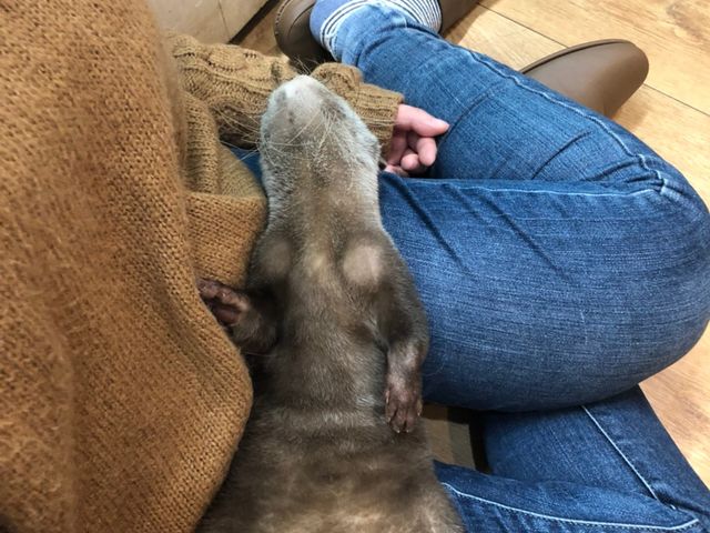 ���炯�����Ă�J���E�\����
_�R�c���C�g�@���É���{�X