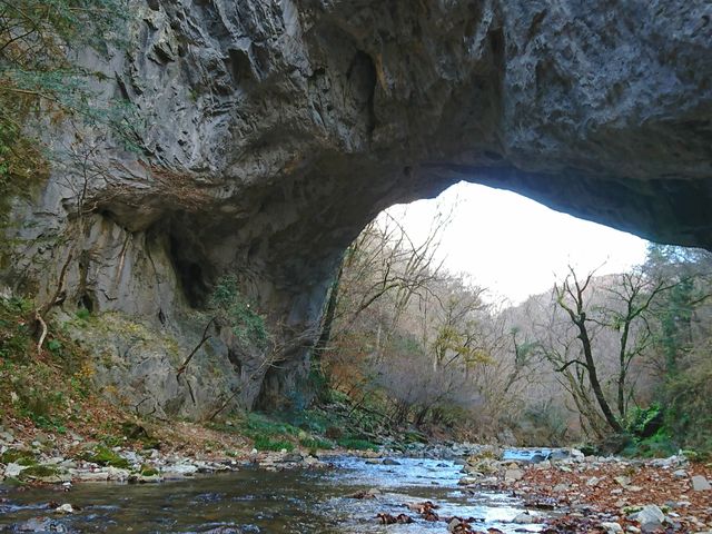 �g�Ɖ��̋������킸..._�Y��