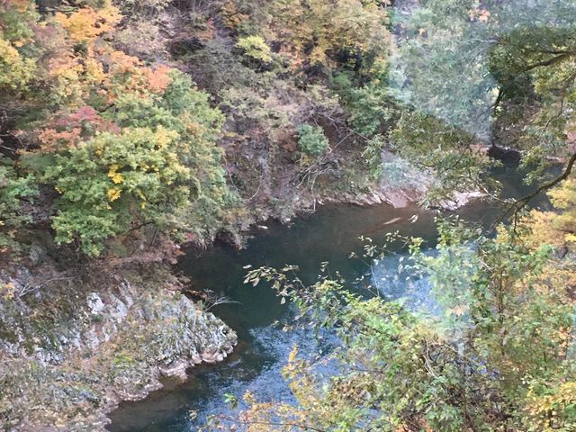 �����̑�����̌i�F_��쑑