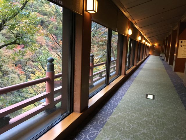 ���r�[����I�V���C�Ɍ����������L��
������̌i�F���ō��I_��쑑