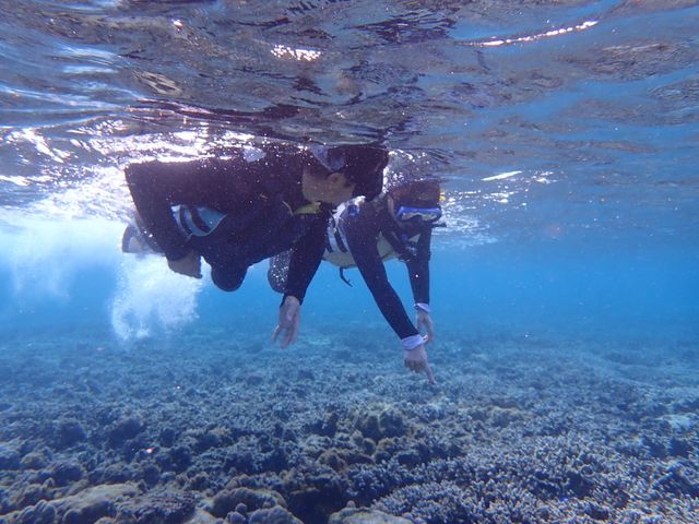 EFbgX[cp(ő݂Ă܂)11㔼̊CłKɃVm[POł܂B_I[VY21