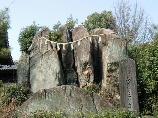 �F��_�Ђ̌ܖ���