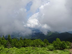 ���ǁ[����̔����������ւ̓��e�ʐ^1