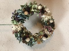 �݂邫������̃i�`�������K�[�f���숢�h�ւ̓��e�ʐ^1