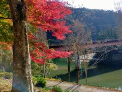 Ă܂Ő̐mJk[ւ̓eʐ^1