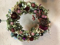 �����܂܂���̃i�`�������K�[�f���숢�h�ւ̓��e�ʐ^1