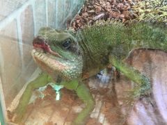 ݂[Shop&CafeW̓mւ̓eʐ^1