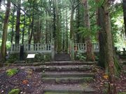 pon����񂳂�̐^�c�K���E���K�̕�̓��e�ʐ^1