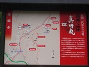 pon����񂳂�̐^�c�M�j�̕�̓��e�ʐ^1