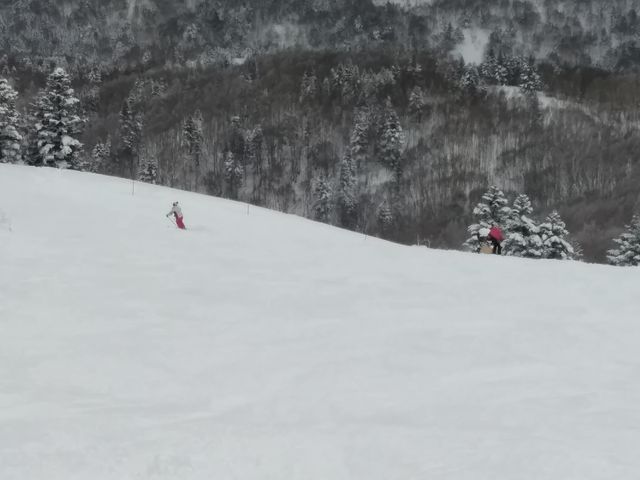 �㕔���牺���̂���_�u�ꍂ���Ċz�R�X�L�[��