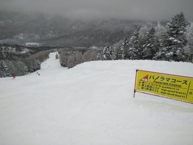 3枚 志賀高原全山共通リフト券 大人1日券 2024シーズン ありがた