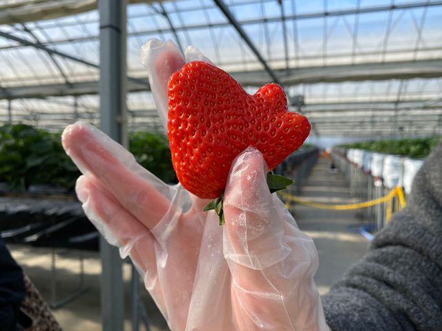 ���킢��������_�������̗��@�������_��