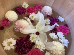 �Ղ��ィ����̗����@������דX�ւ̓��e�ʐ^1