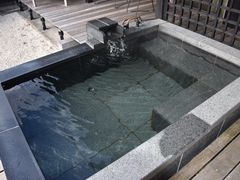 �Z�C�R����̓�m�����򋽂ւ̓��e�ʐ^1