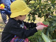 �݁[����̌˓c�ʎ����ւ̓��e�ʐ^1