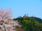 nobo 23p����̌��R�x�c��Ղ̓��e�ʐ^2