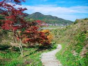 nobo 23p̌RxcՂ̓eʐ^8