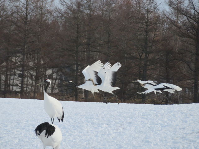 Ăɔїu_ߋEɓ^`ETN`A