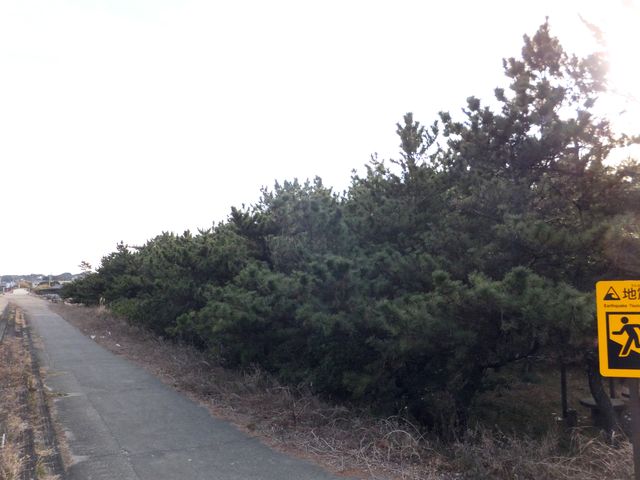 ��ݒ炩�猩������_�����̏���