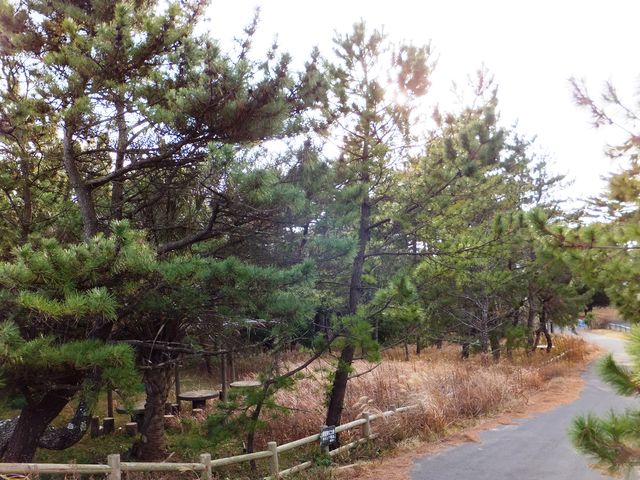 �����̏����X�|�[�c�Z���^�[�ɒʂ��铹�F�e�[�u��������܂��B_�����̏���