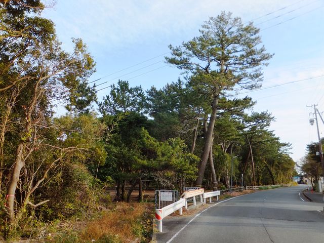 ���т̐���_�����̏���