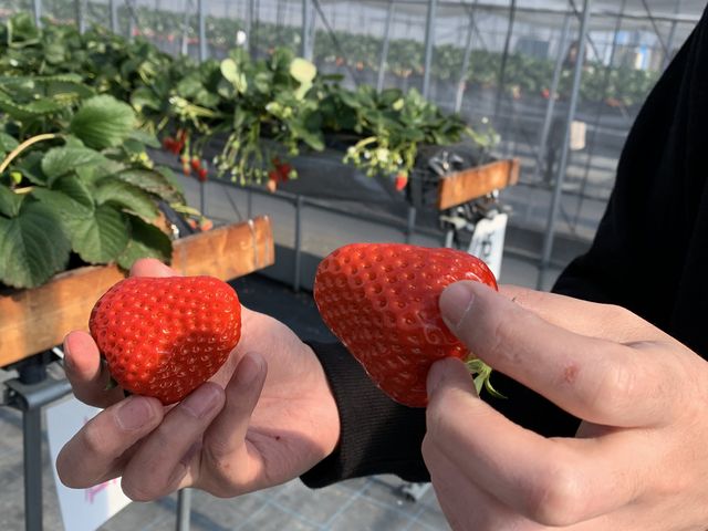 �Á`��_������������