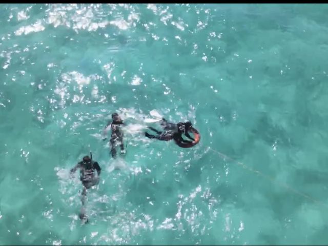 ��B�I_Kahoo_ishigaki