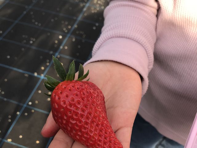 �g�ق���_�������C�ӂ̂��������s���F�t�F�����t