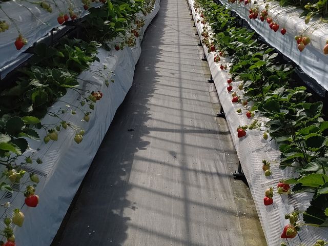 ƂĂLCȂ̂ŁASz܂B_Jt@[