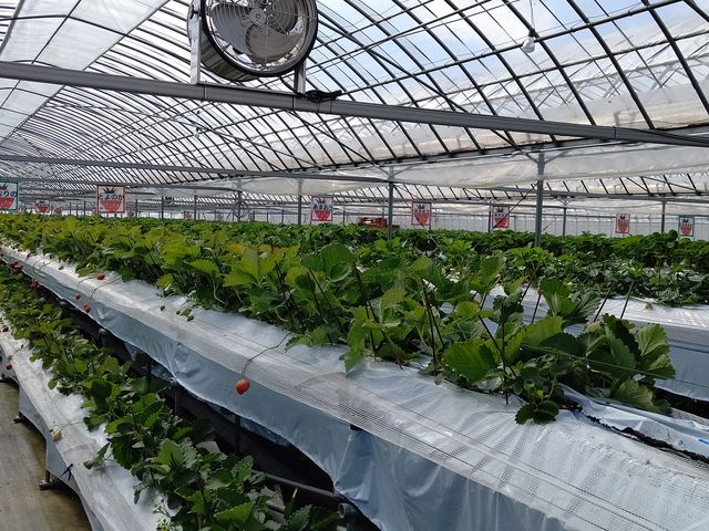 ǂ̕i킩悤ɂƕ\Ă܂B_Jt@[