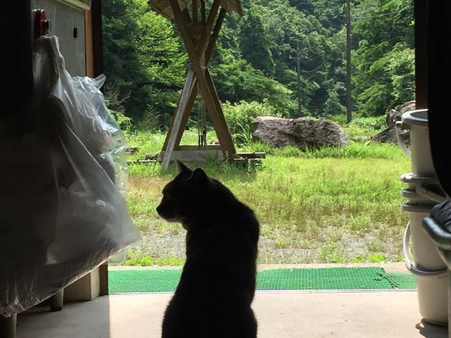 ߂߂̃tBbVOK[fzJ̓eʐ^3