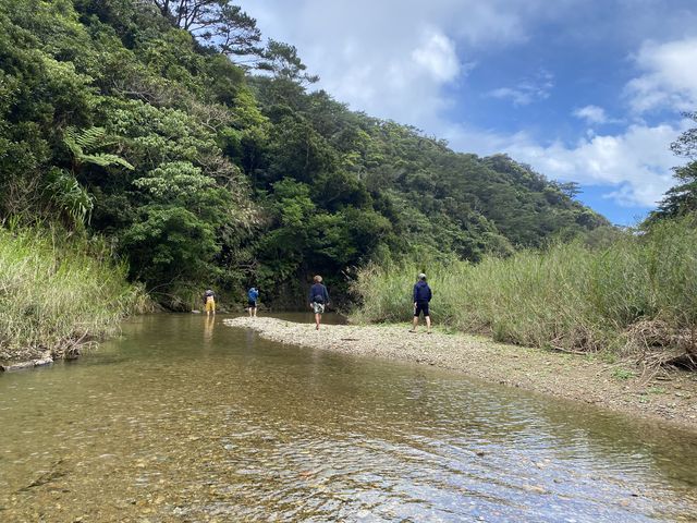 ��̃K�C�h�ł̎ʐ^�ł��B_TarzanWorld