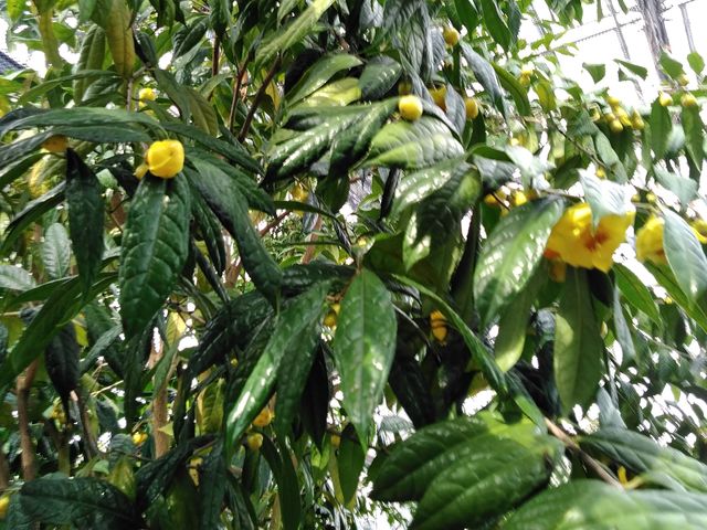 LJ`@JԎP2_vĎsÊ΂