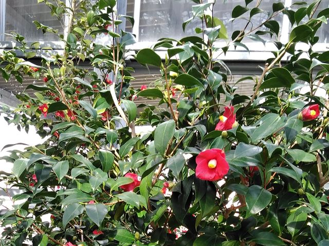 ucoL@JԎ123_vĎsÊ΂