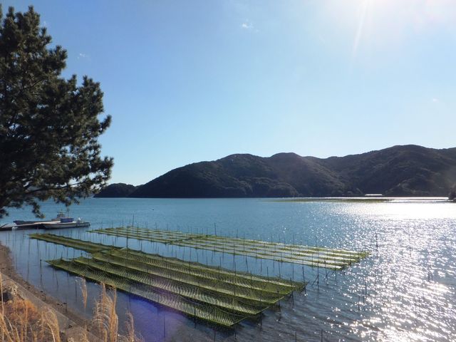 �����ł́u�������v�{�B�̗l�q_�܃P���p