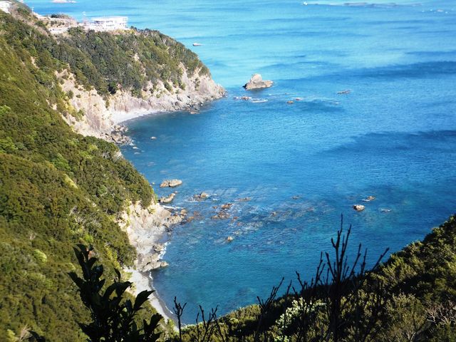 �C���ɂ��Đ���ł��܂��B_�܃P���p