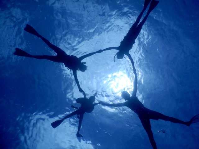 �������q�������Ă����v��Ƒ��ł킢�킢�y���߂܂���_�P���}�J���b�N�Z���^�[